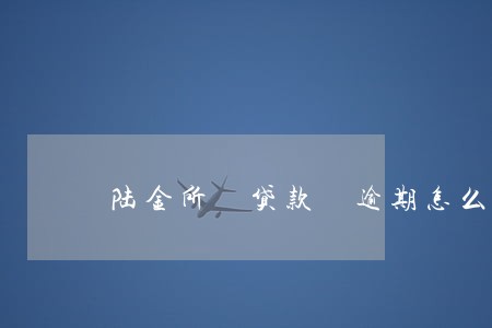 陆金所 贷款 逾期怎么办 陆金所 贷款 逾期怎么办